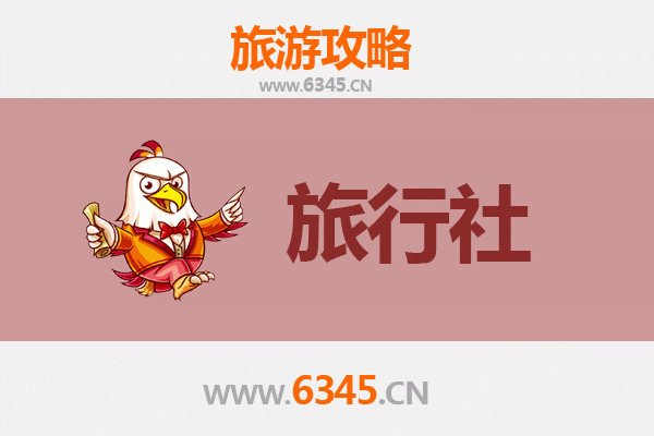 德州德城旅行社精选推荐：探索牛仔文化的完美向导